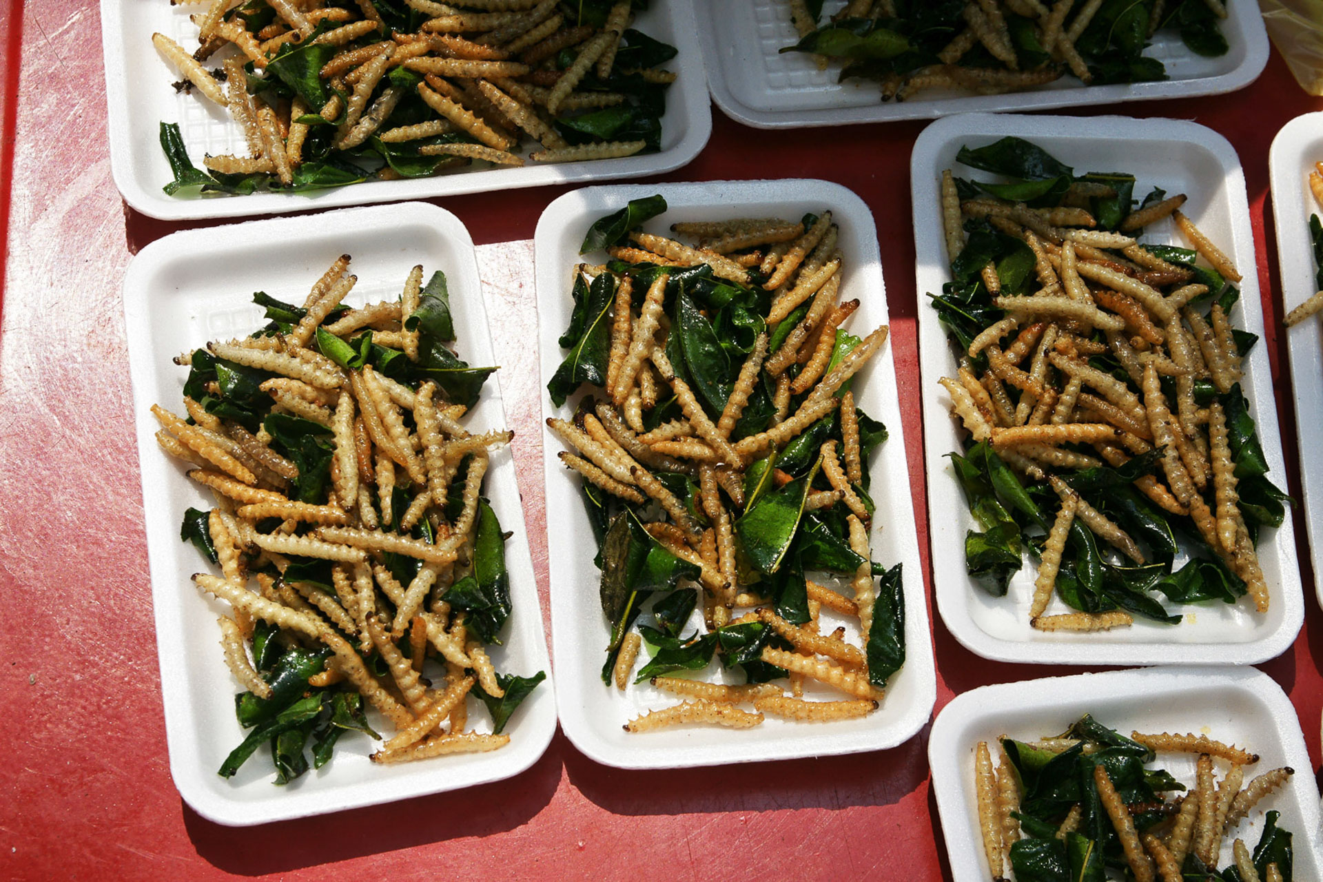 Entlang des Kais Fa Ngum